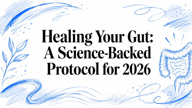 Healing Your Gut: A Science-Backed Protocol for 2026