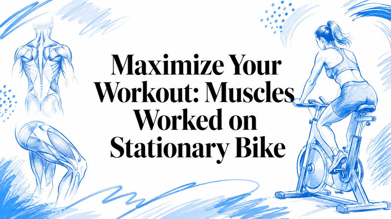 Maximize Your Workout: Muscles Worked on Stationary Bike