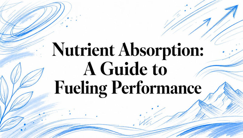 Nutrient Absorption: A Guide to Fueling Performance