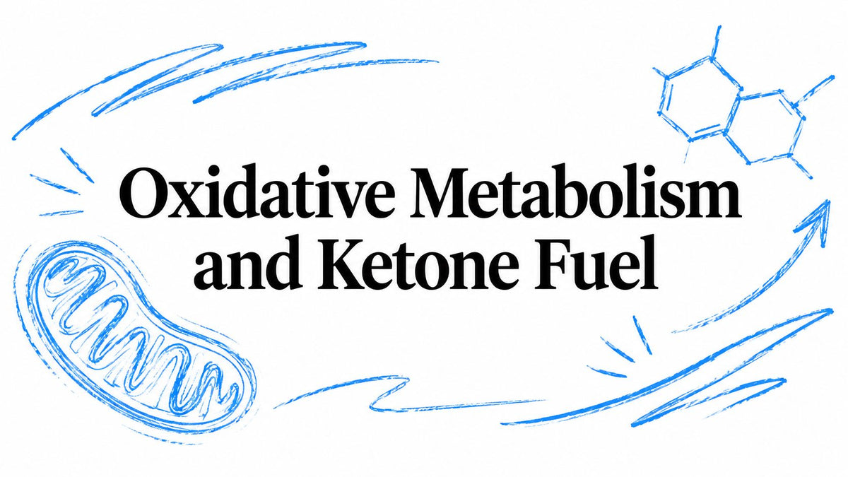 Oxidative Metabolism and Ketone Fuel