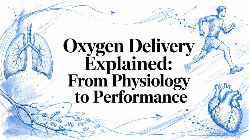 Oxygen Delivery Explained: From Physiology to Performance