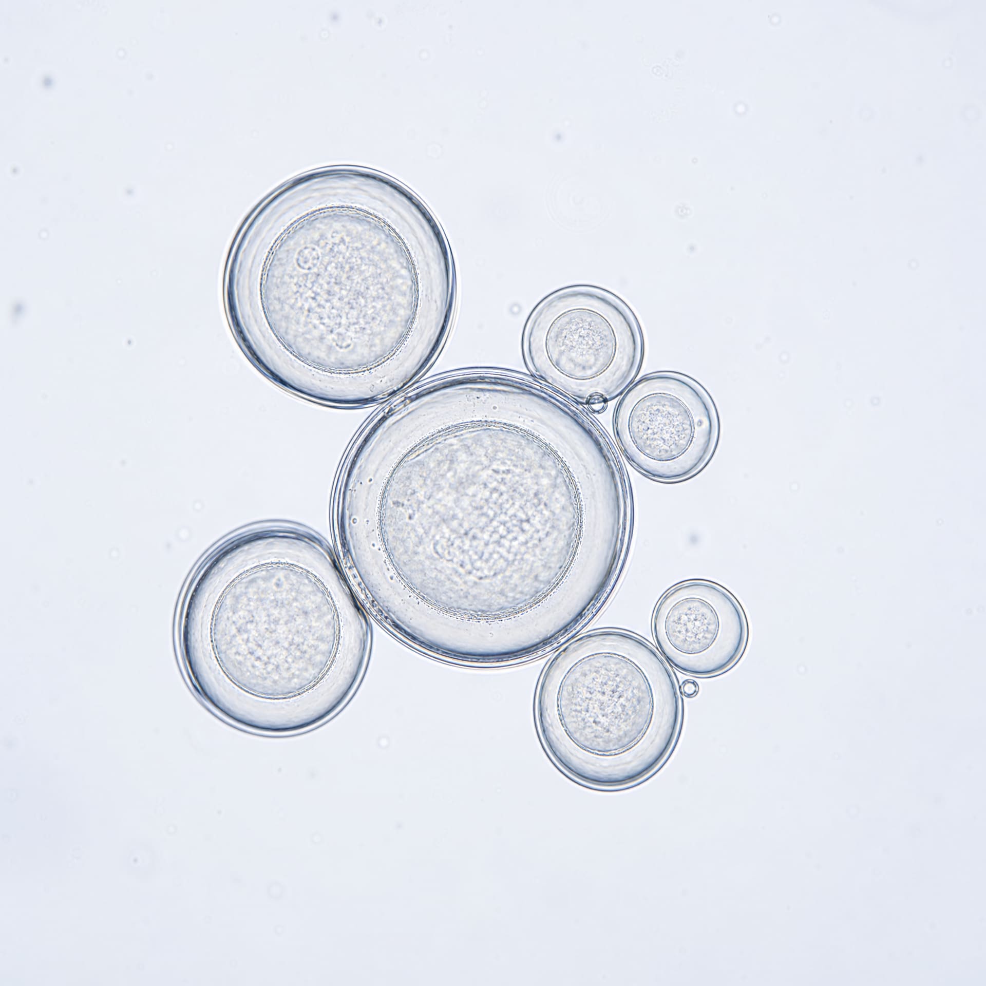 Liposomes get it absorbed.
